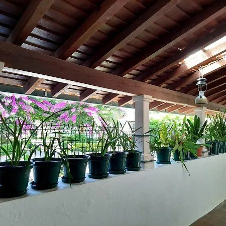 Casa de Férias Qm - Quinta Da Morgadinha - Casa Em Quinta Rural *