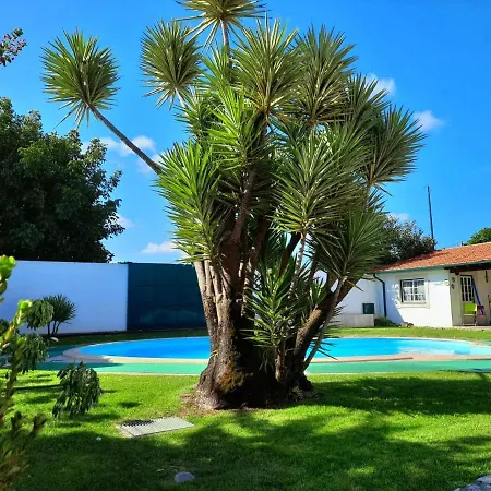 Qm - Quinta Da Morgadinha - Casa Em Quinta Rural Holiday home Cabecos