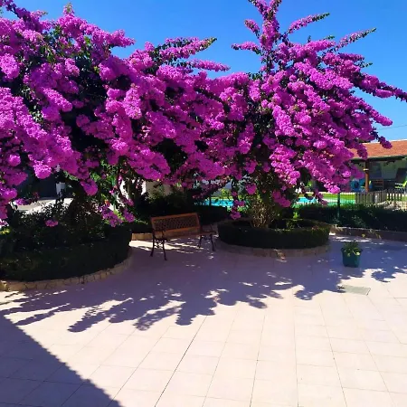 Qm - Quinta Da Morgadinha - Casa Em Quinta Rural