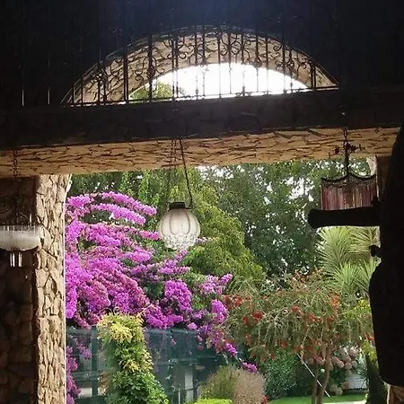 Qm - Quinta Da Morgadinha - Casa Em Quinta Rural Casa de Férias