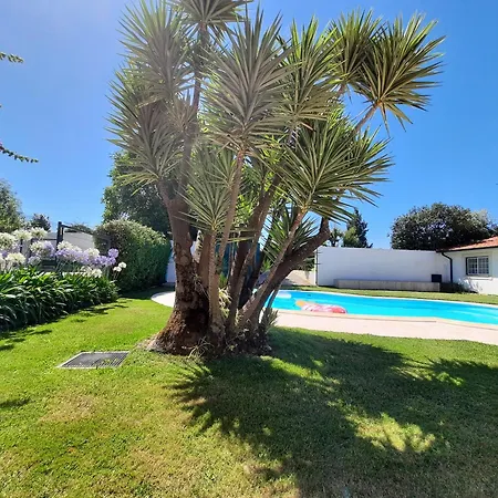 Qm - Quinta Da Morgadinha - Casa Em Quinta Rural * Cabecos