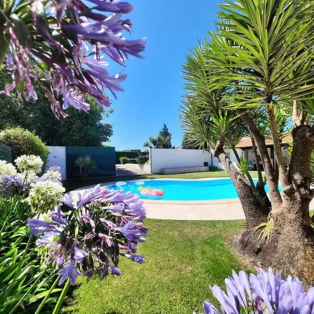 Casa de Férias Qm - Quinta Da Morgadinha - Casa Em Quinta Rural Cabecos