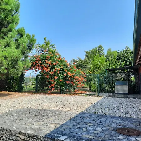 Holiday home Qm - Quinta Da Morgadinha - Casa Em Quinta Rural