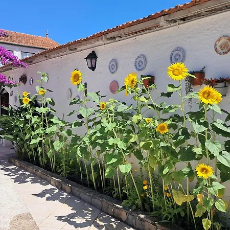 Qm - Quinta Da Morgadinha - Casa Em Quinta Rural * Cabecos