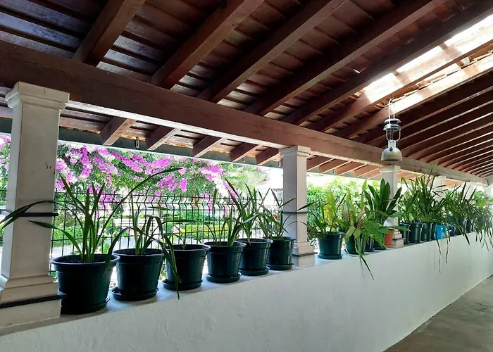 Dom wakacyjny Qm - Quinta Da Morgadinha - Casa Em Quinta Rural *