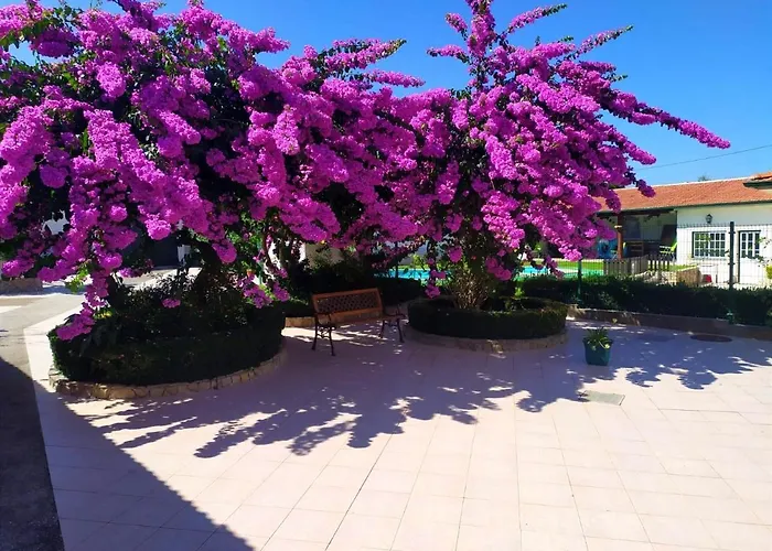 Qm - Quinta Da Morgadinha - Casa Em Quinta Rural