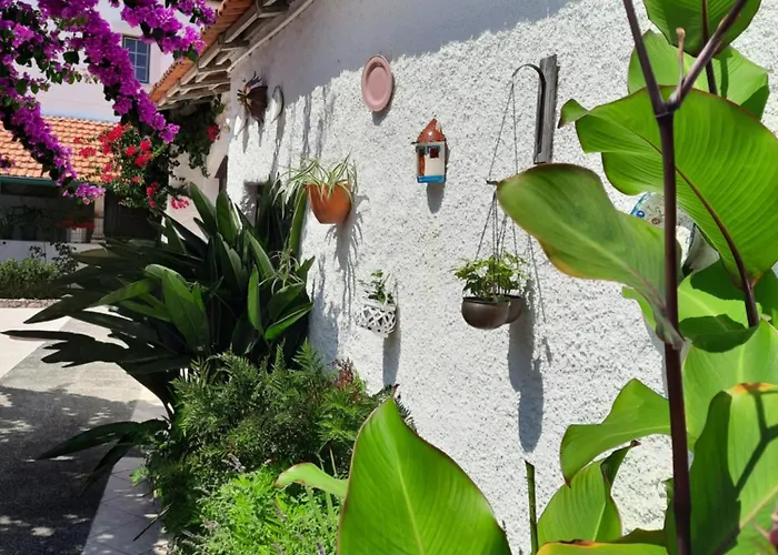 Qm - Quinta Da Morgadinha - Casa Em Quinta Rural Dom wakacyjny Cabecos