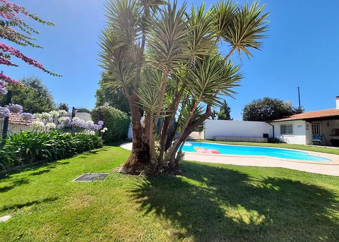 Qm - Quinta Da Morgadinha - Casa Em Quinta Rural * Cabecos