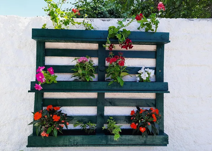 Qm - Quinta Da Morgadinha - Casa Em Quinta Rural * Cabecos