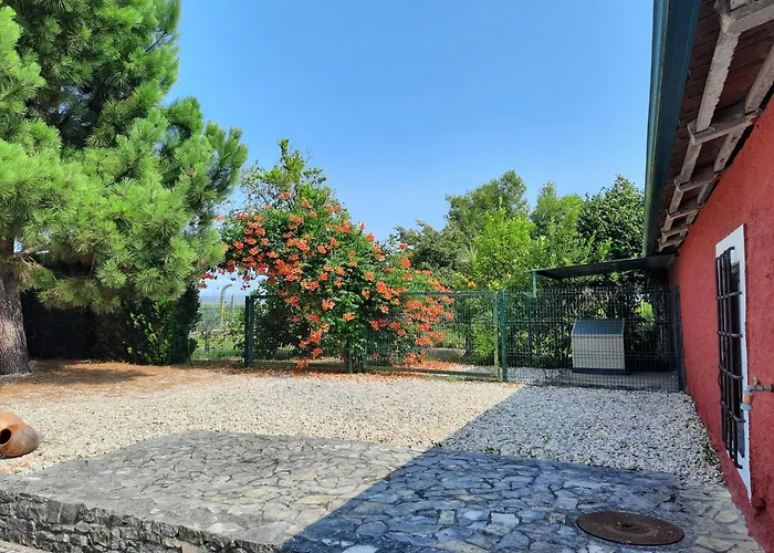 Dom wakacyjny Qm - Quinta Da Morgadinha - Casa Em Quinta Rural