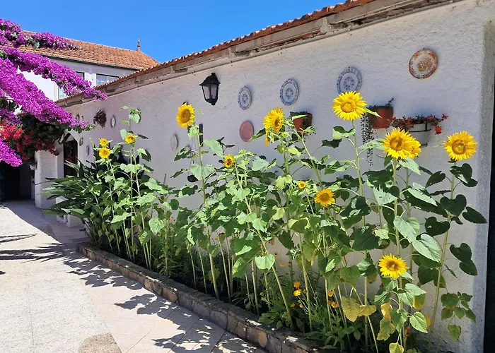 Qm - Quinta Da Morgadinha - Casa Em Quinta Rural * Cabecos